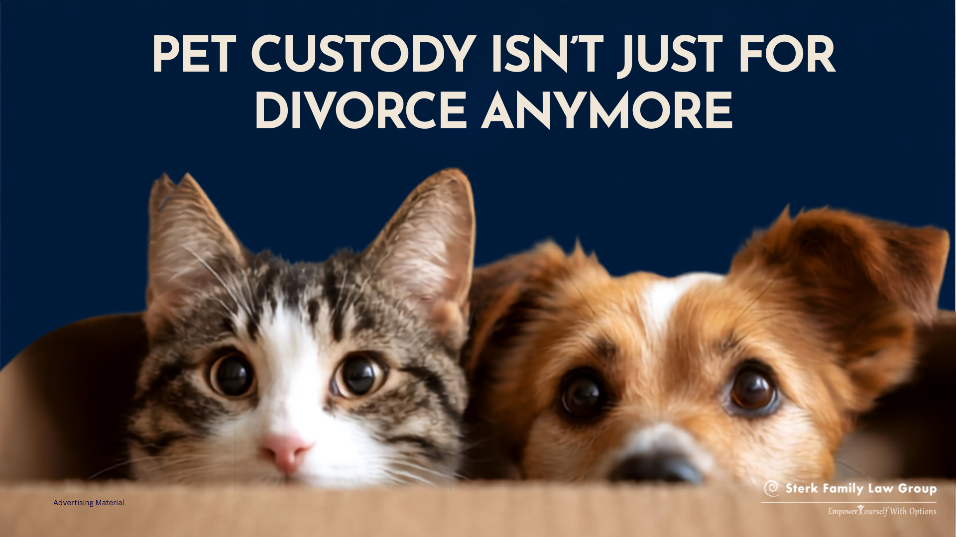 Dog and cat representing shared pet custody under Illinois Rosie’s Law